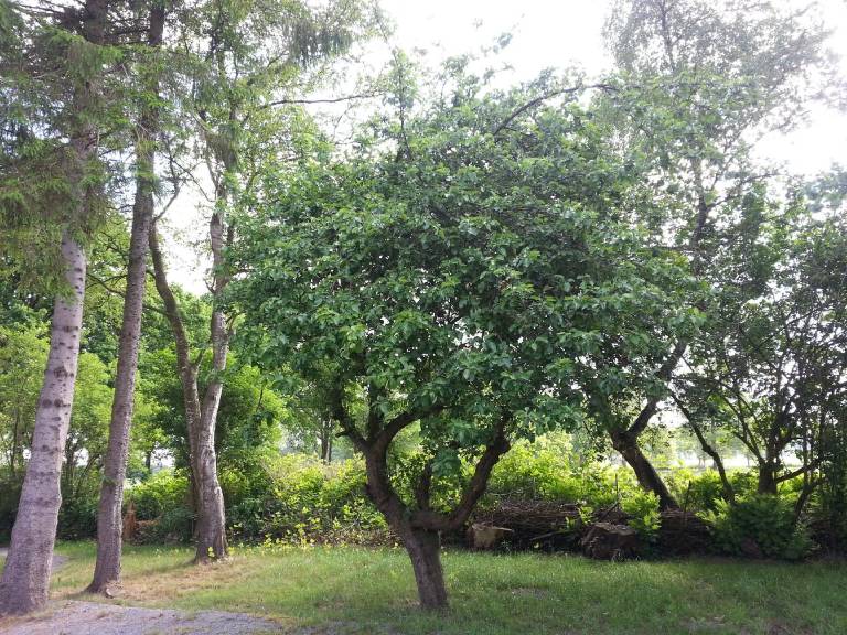 foto11