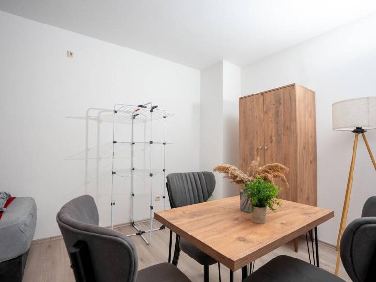 Nice holiday apartment with patio | Perfect for remote work | Pets are welcome — photo 4