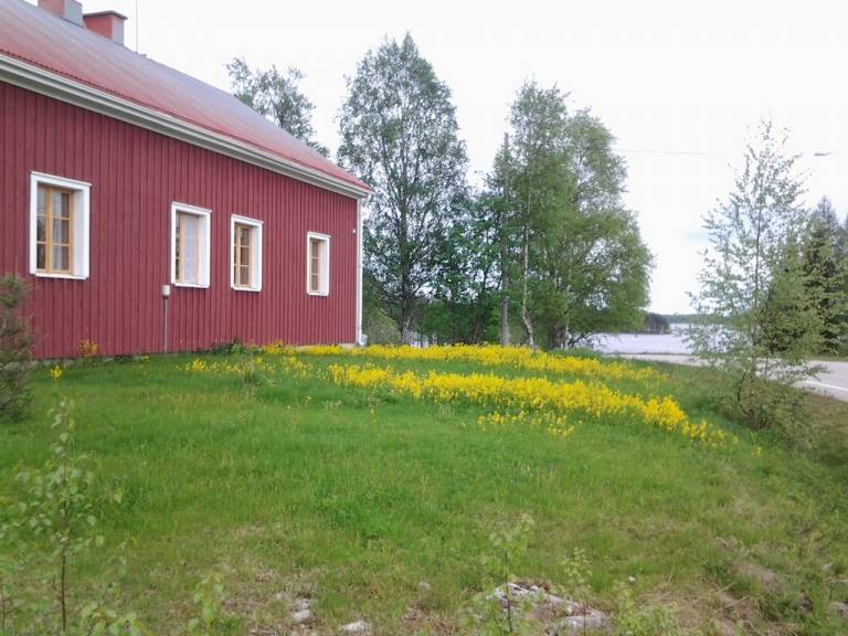 Ferienhaus Suomussalmi