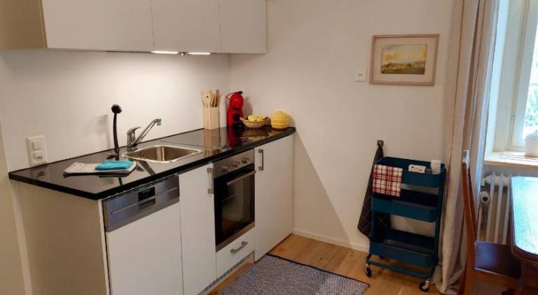 Apartment with garden, patio & grill | Perfect for remote work — photo 4