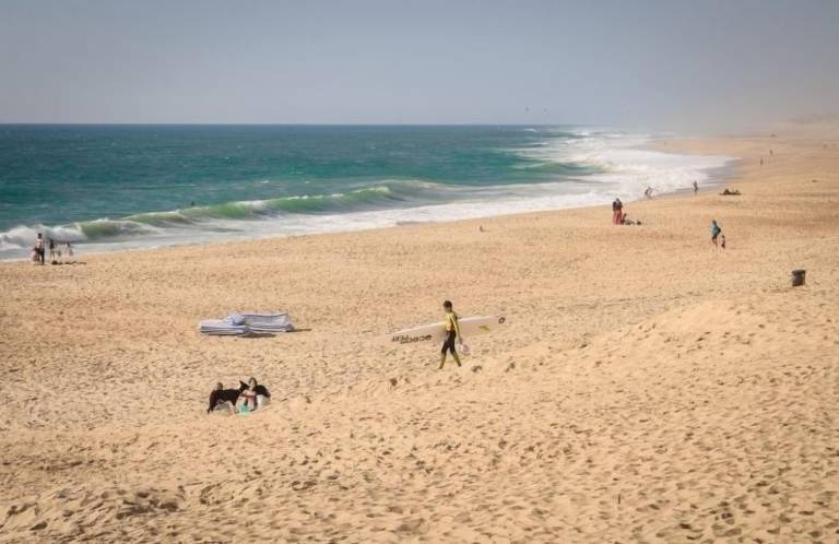 Appartement Soorts-Hossegor