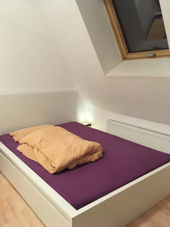foto2