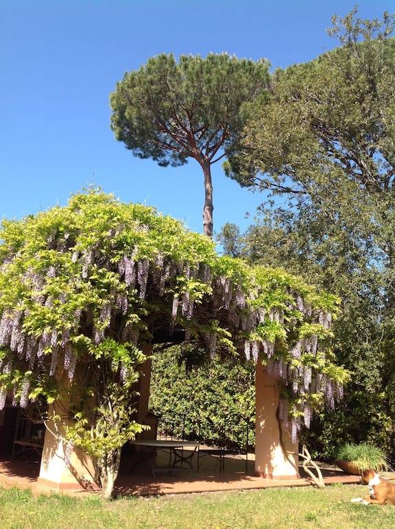 Villa Punta Ala