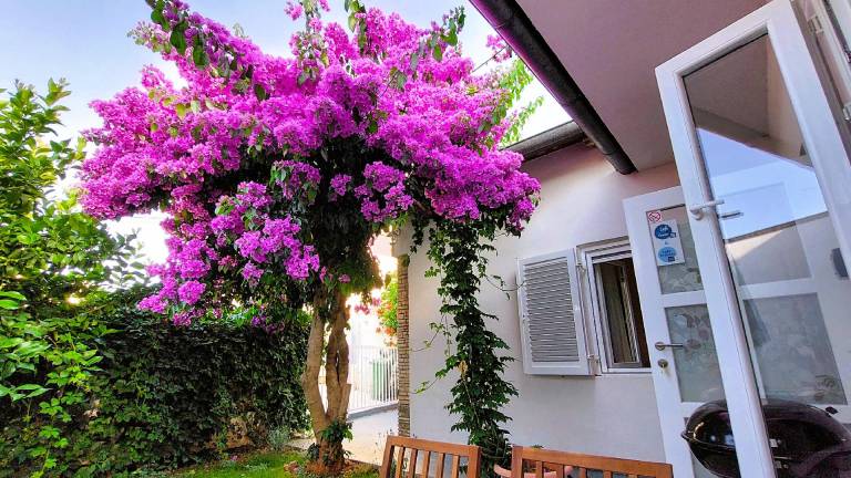 House Premantura