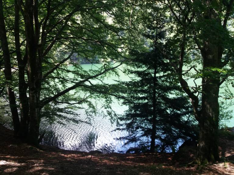 foto21