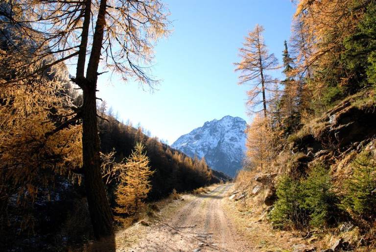 foto10