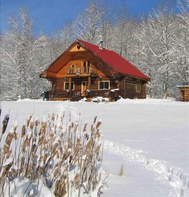 Cabin North Blenheim