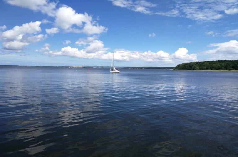 foto15