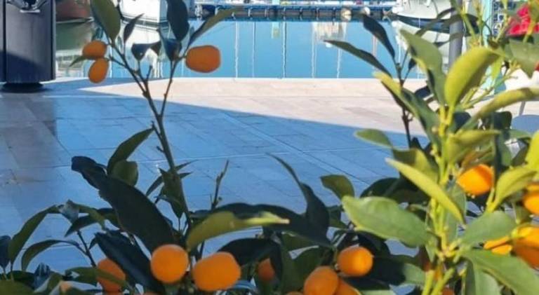 Rental apartment | Next to the beach | Dogs allowed in Rodi Garganico