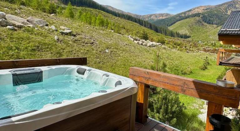 Nice rental apartment with sauna, patio & jacuzzi | Ski nearby | Dogs allowed — photo 2