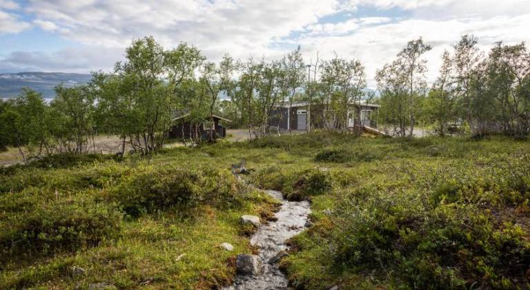 Chalet with 1 room for 2 persons — photo 4