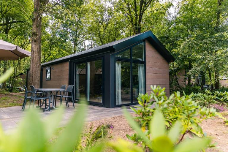 Chalet with 2 bedrooms and a terrace