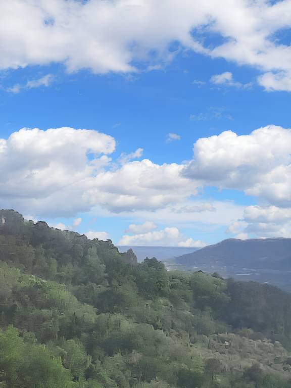 foto16