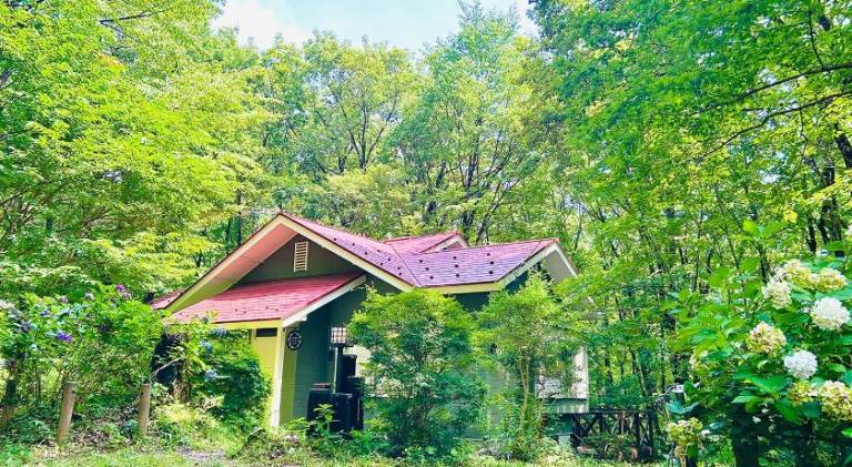 House with yard, grill & terrace — photo 5
