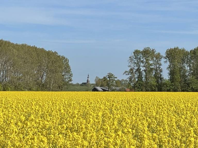 foto21