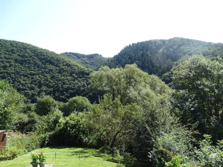 foto19