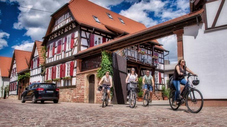 Ferienwohnung  Steinweiler