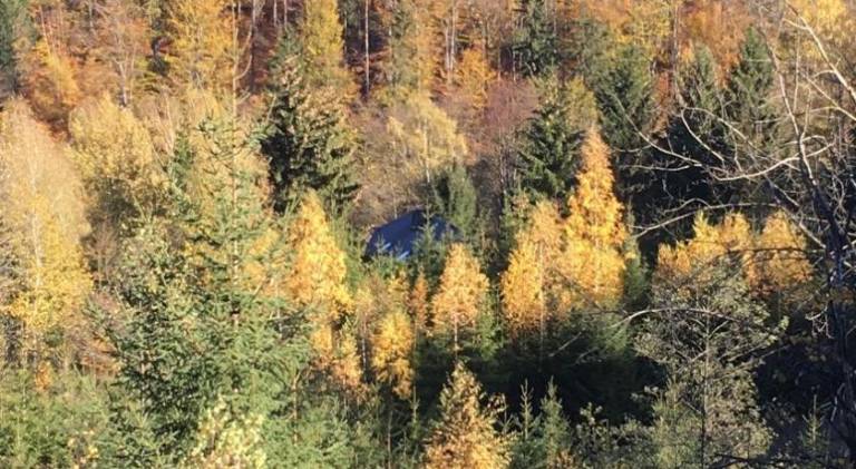 Ferienwohnung Dippoldiswalde