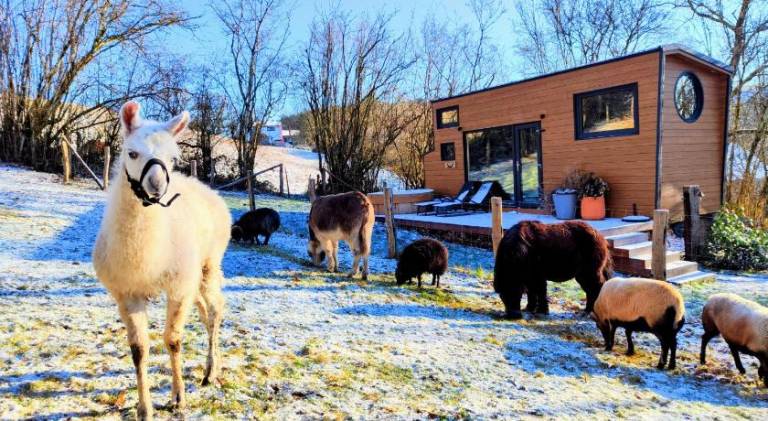 Chalet with hot tub | Pets allowed in Dinant
