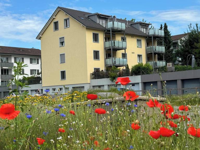 Ferielejlighed  Oerlikon