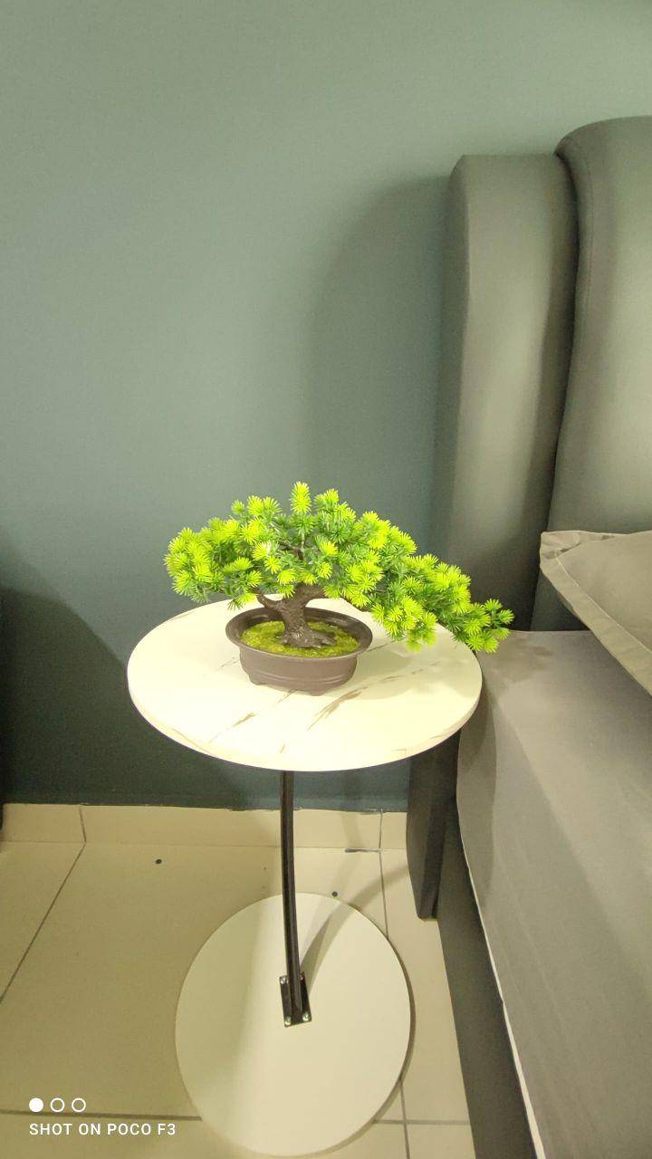 foto15