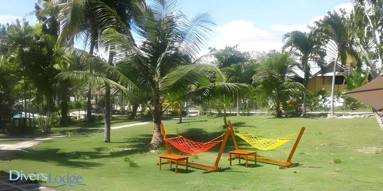Children-friendly charming serviced apartment with terrace & garden | Perfect for remote work | Dogs allowed — photo 3