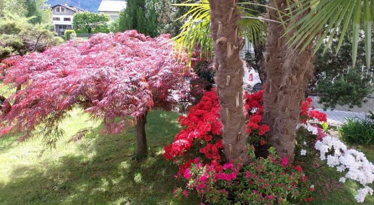 foto30