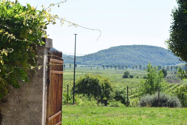 Villa Egizia: Villa Egizia-MIMOSA — photo 4