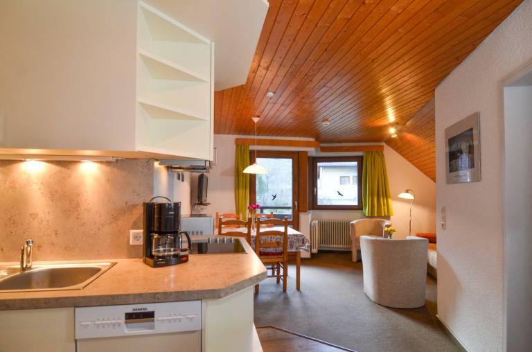 Appartement Todtnauberg