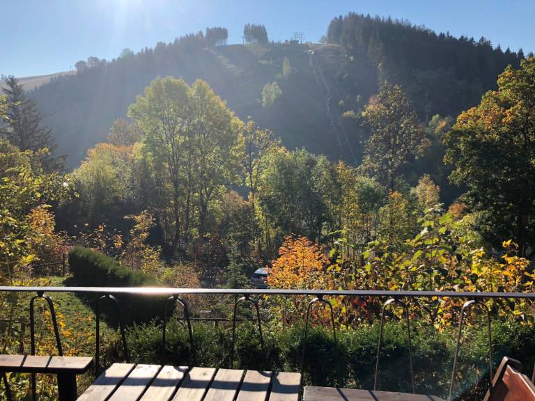 foto42