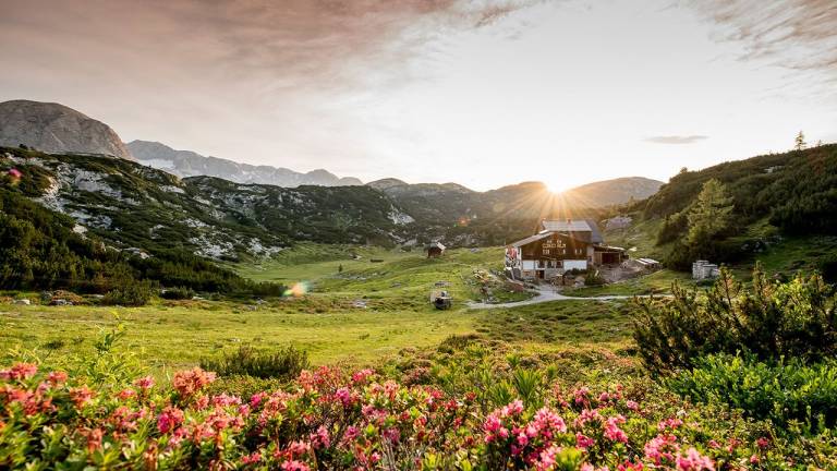Mehrbettzimmer für 3 Personen in Obertraun
