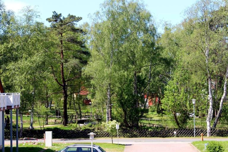 foto20