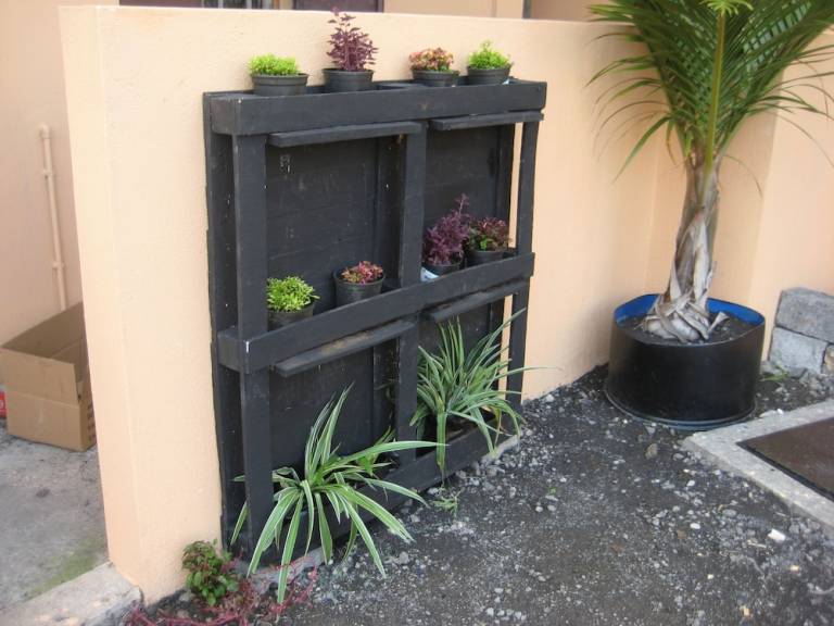 Bed & Breakfast  Trou d'Eau Douce