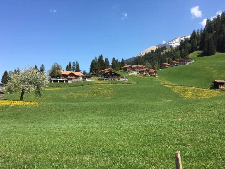 foto37