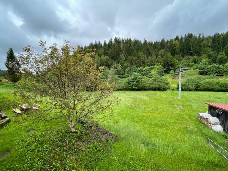 Ferienwohnung in Glashütte, Schwarzwald, Deutschland