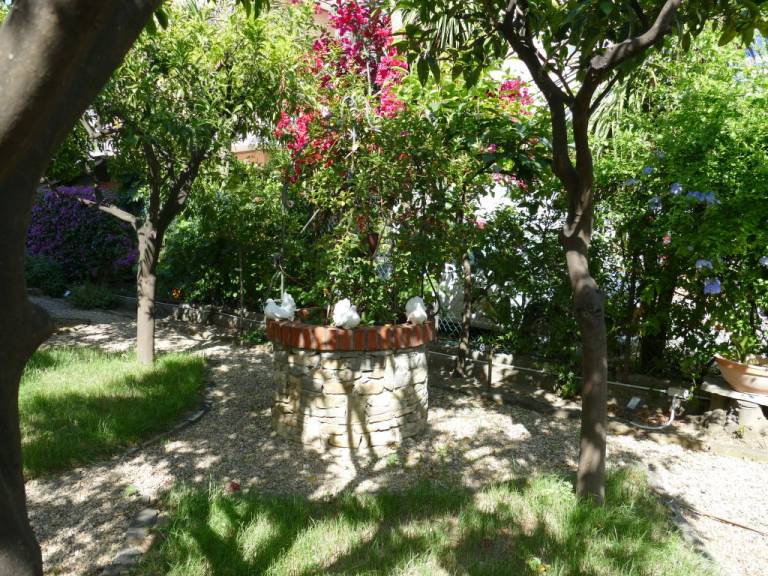 foto20