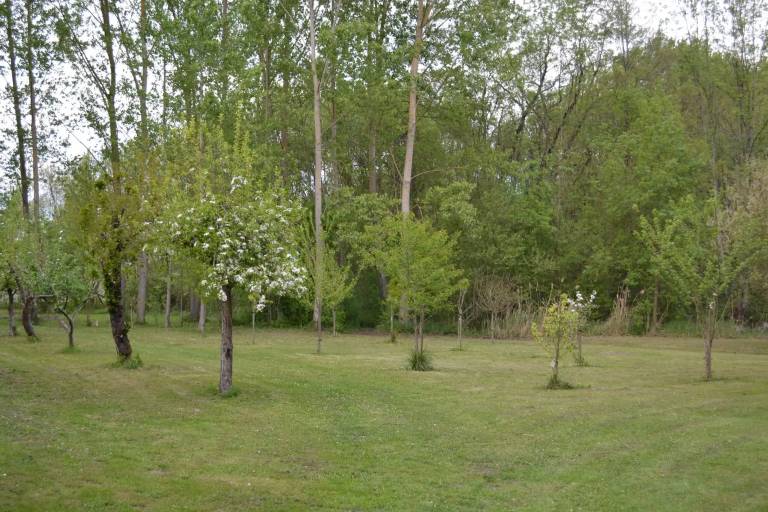 foto12