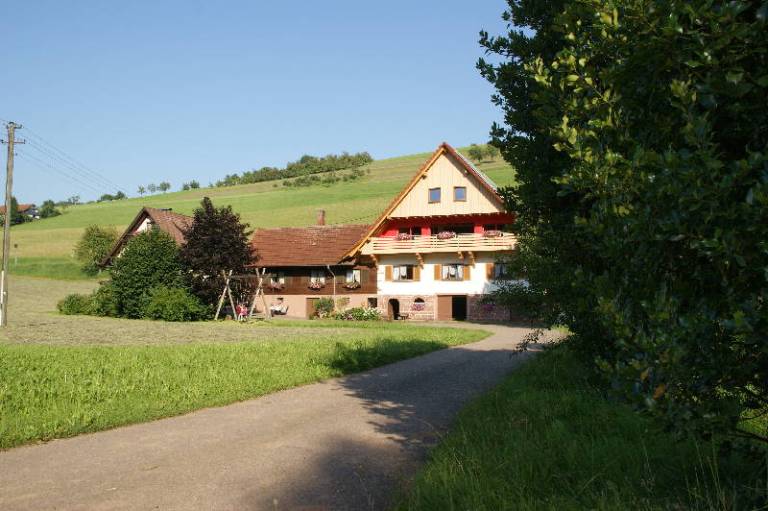 foto12
