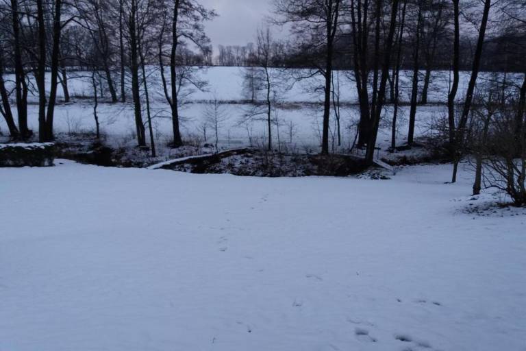 foto36