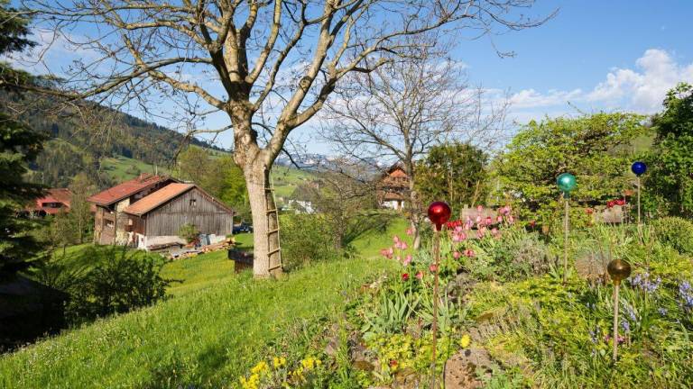 Ferienwohnung  Bad Hindelang