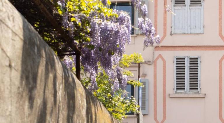 B&B Le Cannelle FIESOLE in Fiesole
