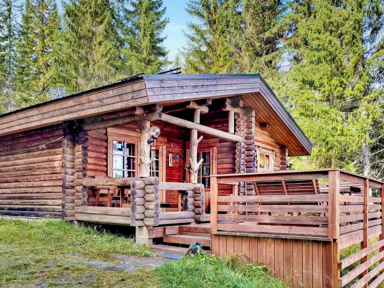 Ferienhaus  Joutsa