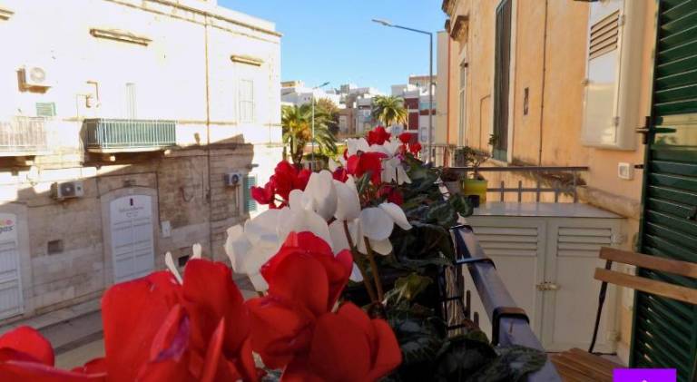 Apartment | Pet-friendly in Trani
