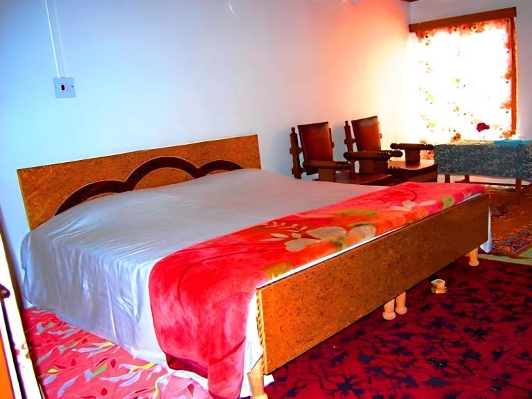Hotel New Green View Ghulam — photo 5