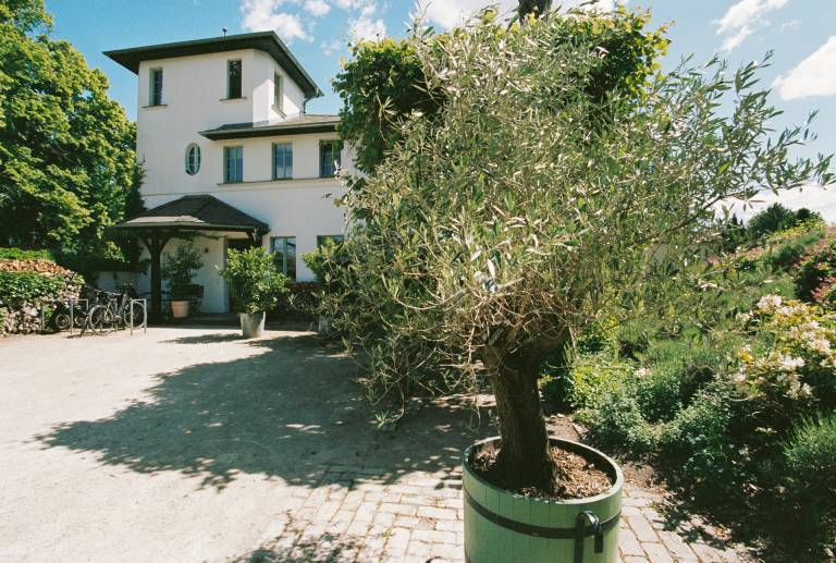 Ferienhaus  Schwielowsee