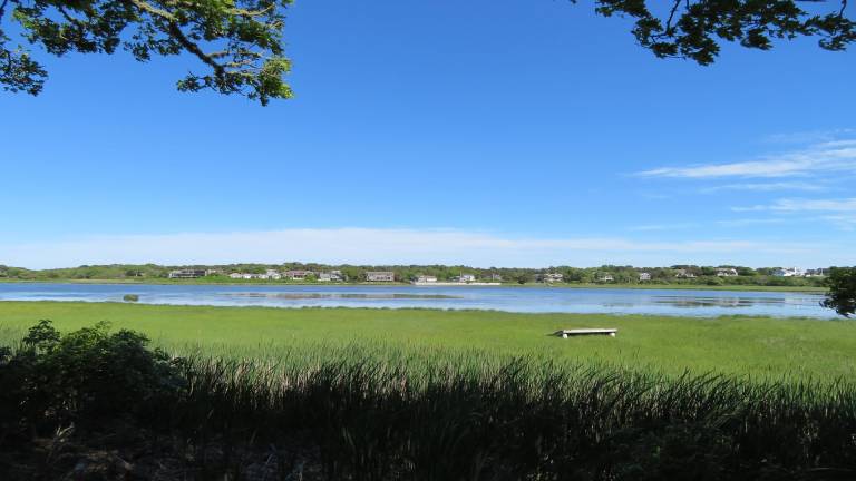 Family-friendly vacation home with terrace & barbeque | Water view | Close to the beach | Dogs allowed — photo 2