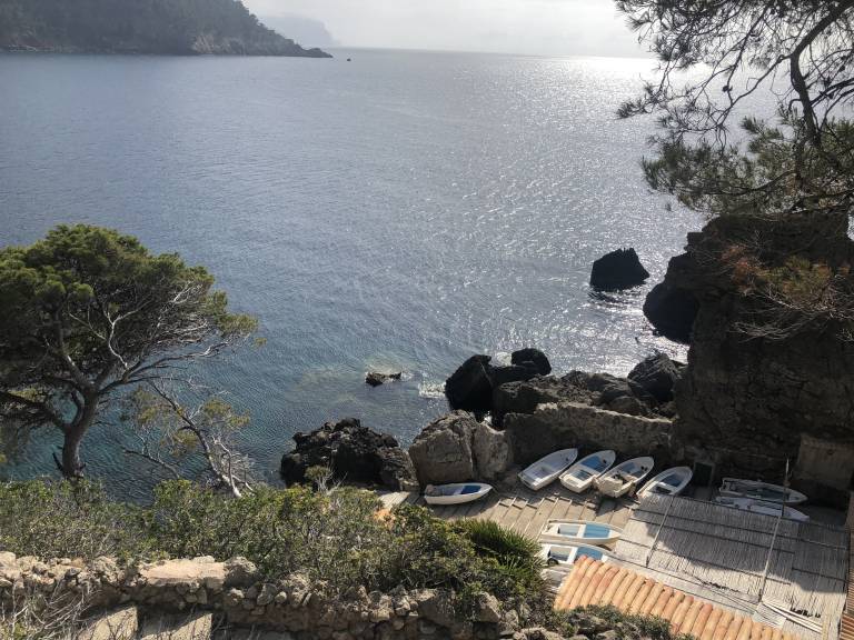 foto42