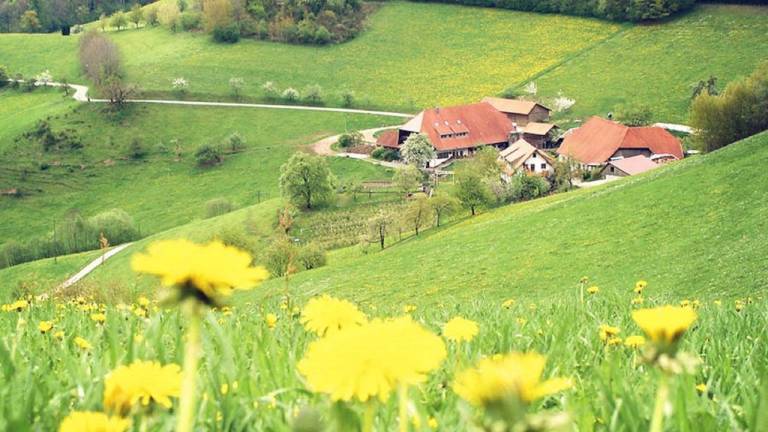 Ferienwohnung Haslach im Kinzigtal