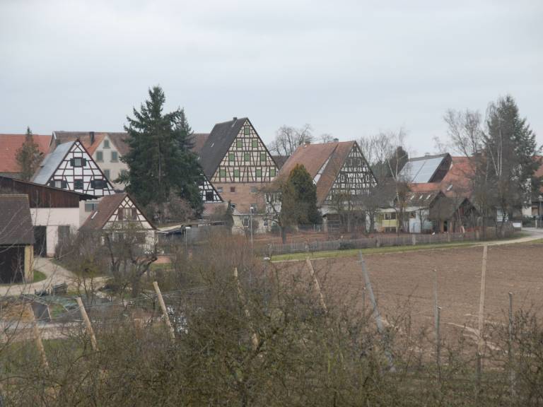 foto15