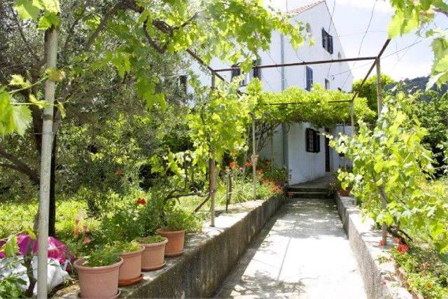 Apartment | Garden view | Dogs allowed in Mali Losinj